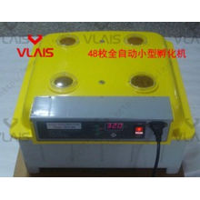 Large Supply 48 eggs automatic hatching machine Family chicken egg incubator couveuse